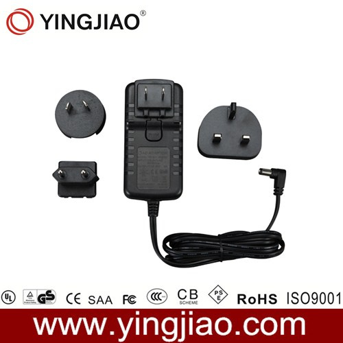 25W DC Variable Power Adapter and Changeable AC Plug