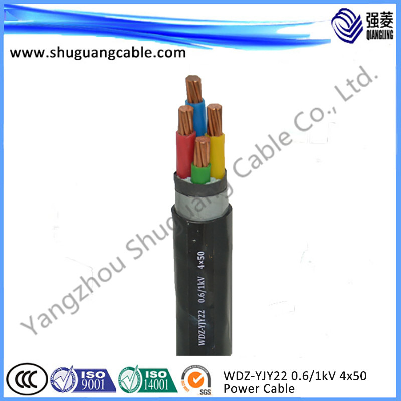 Zr-Yjv22 0.6/1kv 4X50/LV/XLPE Insulation/Power Cable