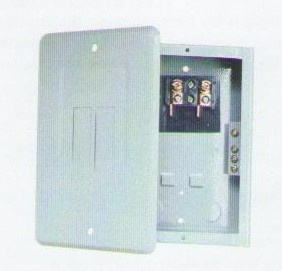 Ee-Xy-Gtls2-2way Electrical Distribution Box (Economy Load Centers)