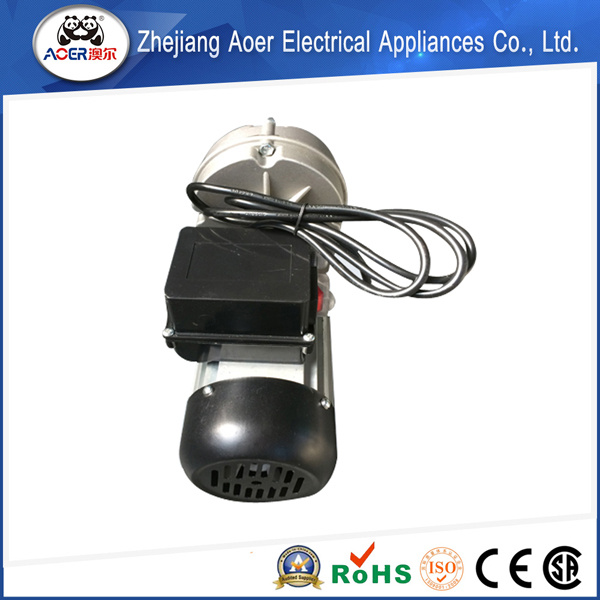 AC Single-Phase 115V Low Price High Quality Gear Electric Motor