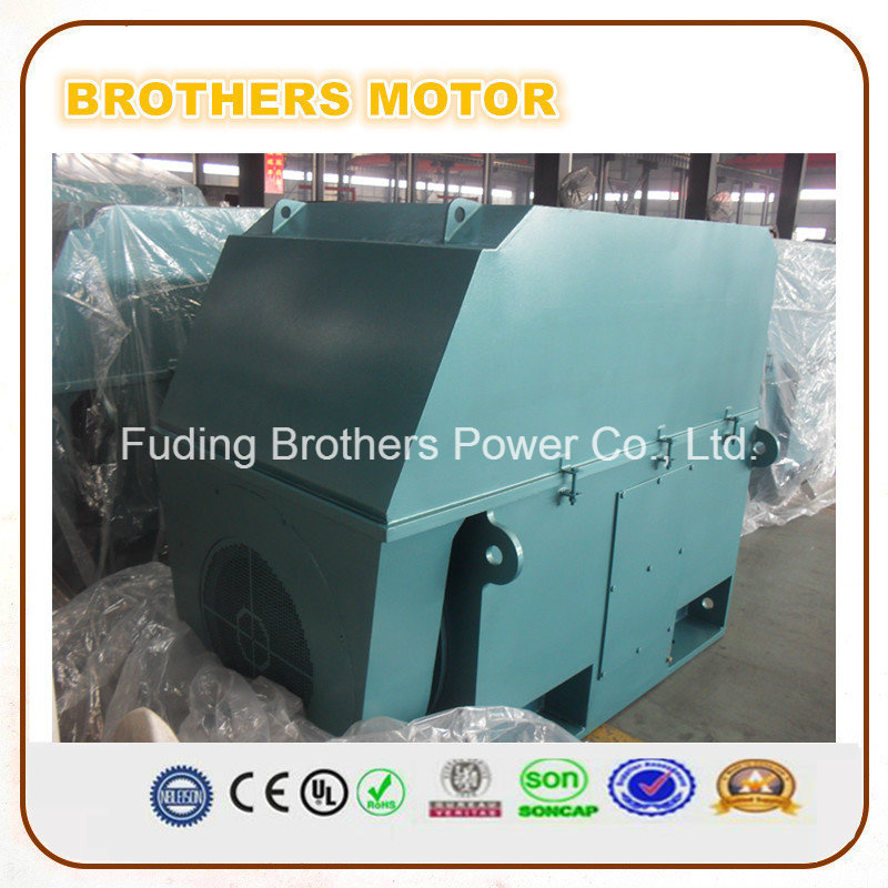 6000V Three Phase AC Electric Motor 400 Motor