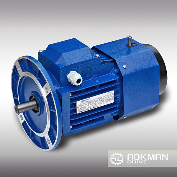 Aluminum Housing AC Motor with Brake