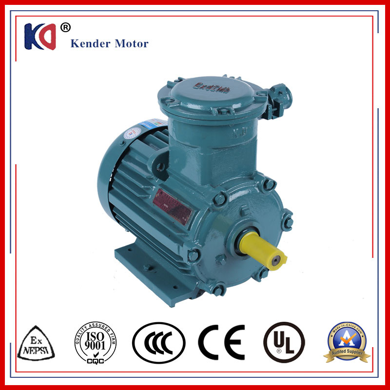 Asynchronous Induction Ex-Proof Electric (Electrical) Motor with 50Hz Frequency