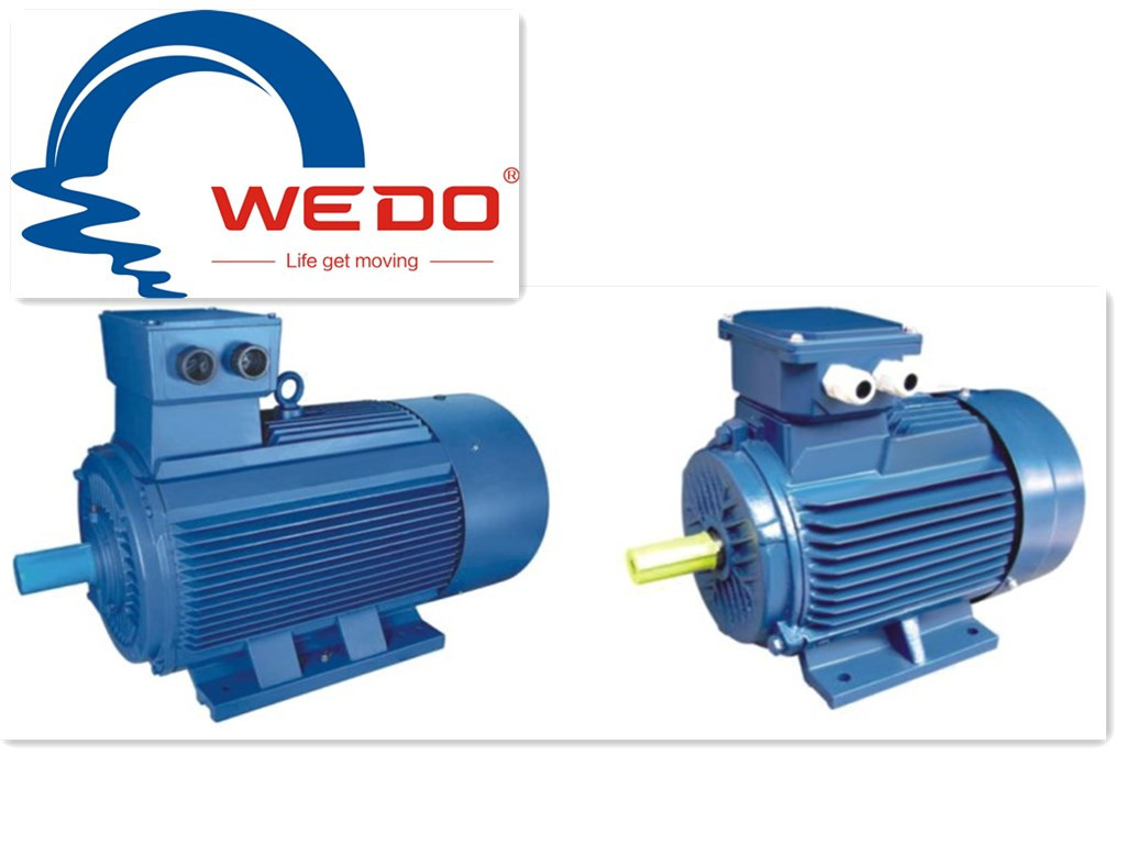Y2 Series High Effiency Three-Phase Asynchronous Motor