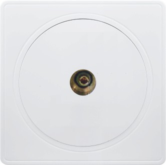 British Standard One Gang TV Socket Flat (A3)