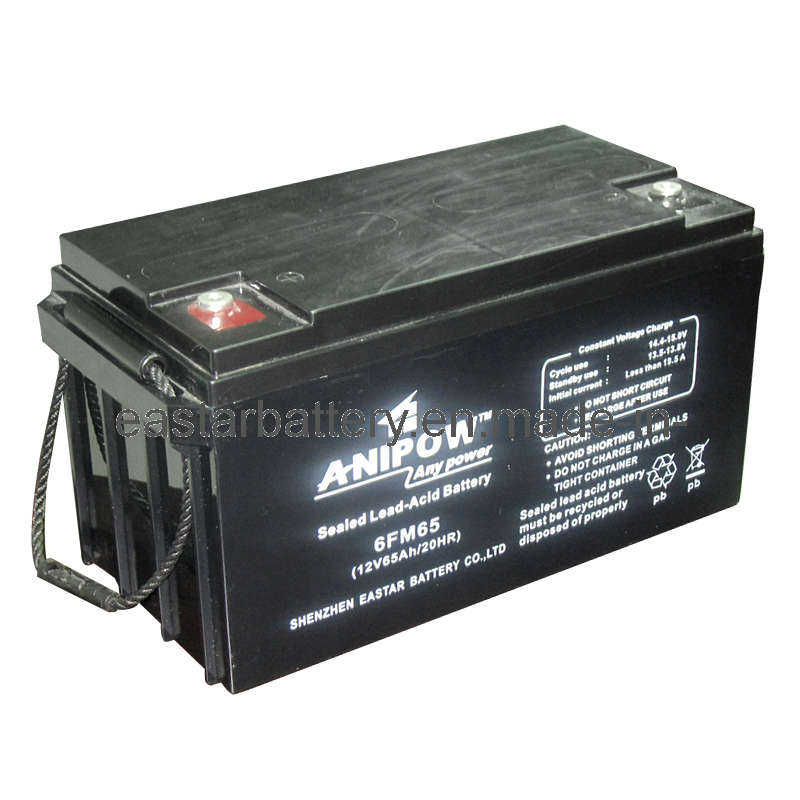 Deep Cycle Storage Battery (EDC12-65)