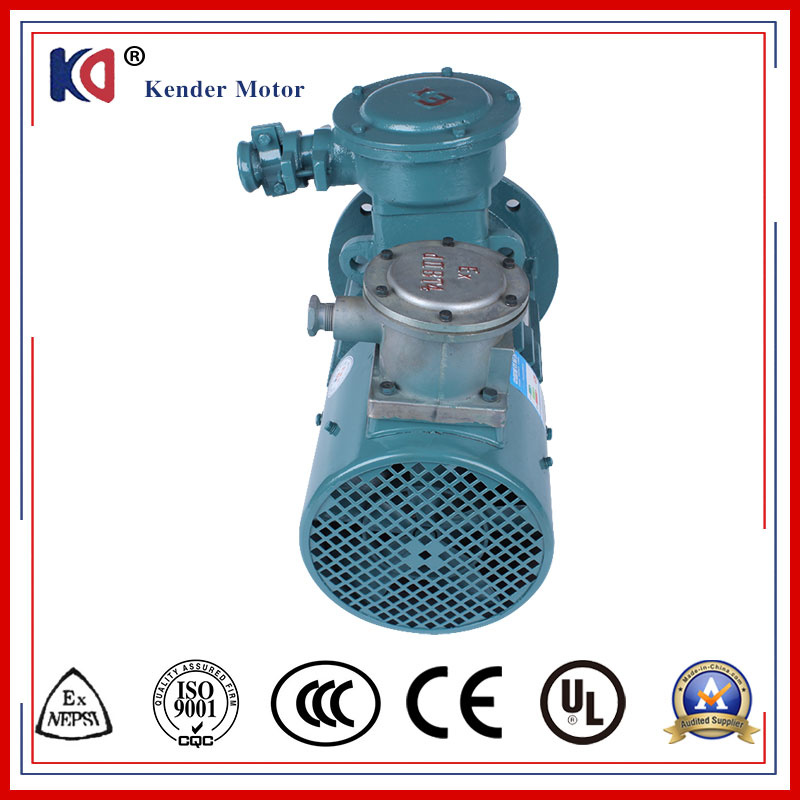 Frequency Conversion Ex-Proof Electrical AC Motor for Hot-Selling
