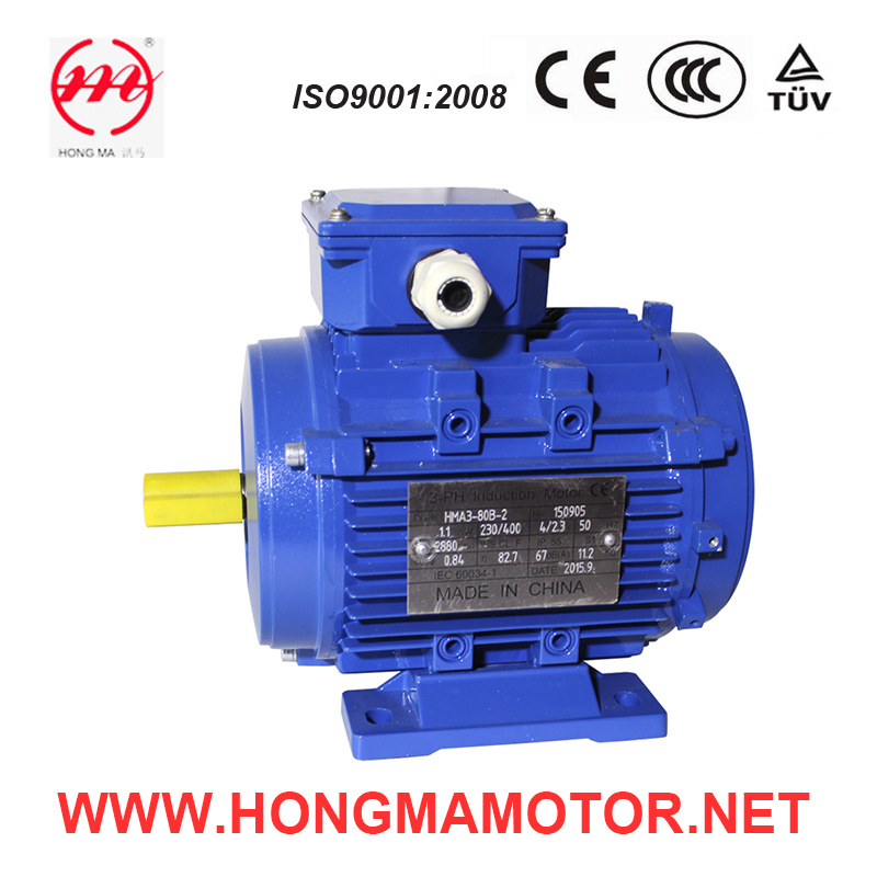 ISO9001 & CE Approved Three Phase AC Motor