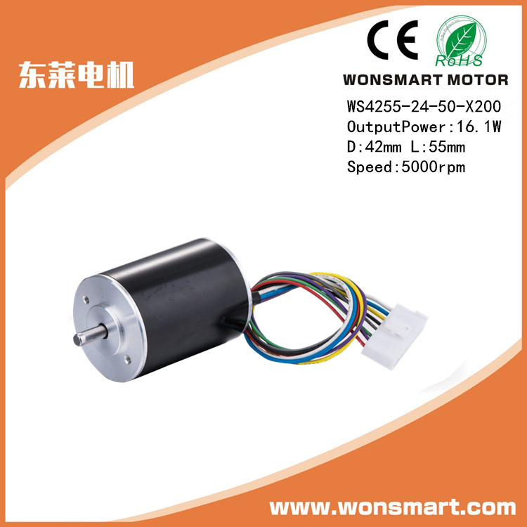 Small Electric DC Motor High Speed Electrical DC Motor