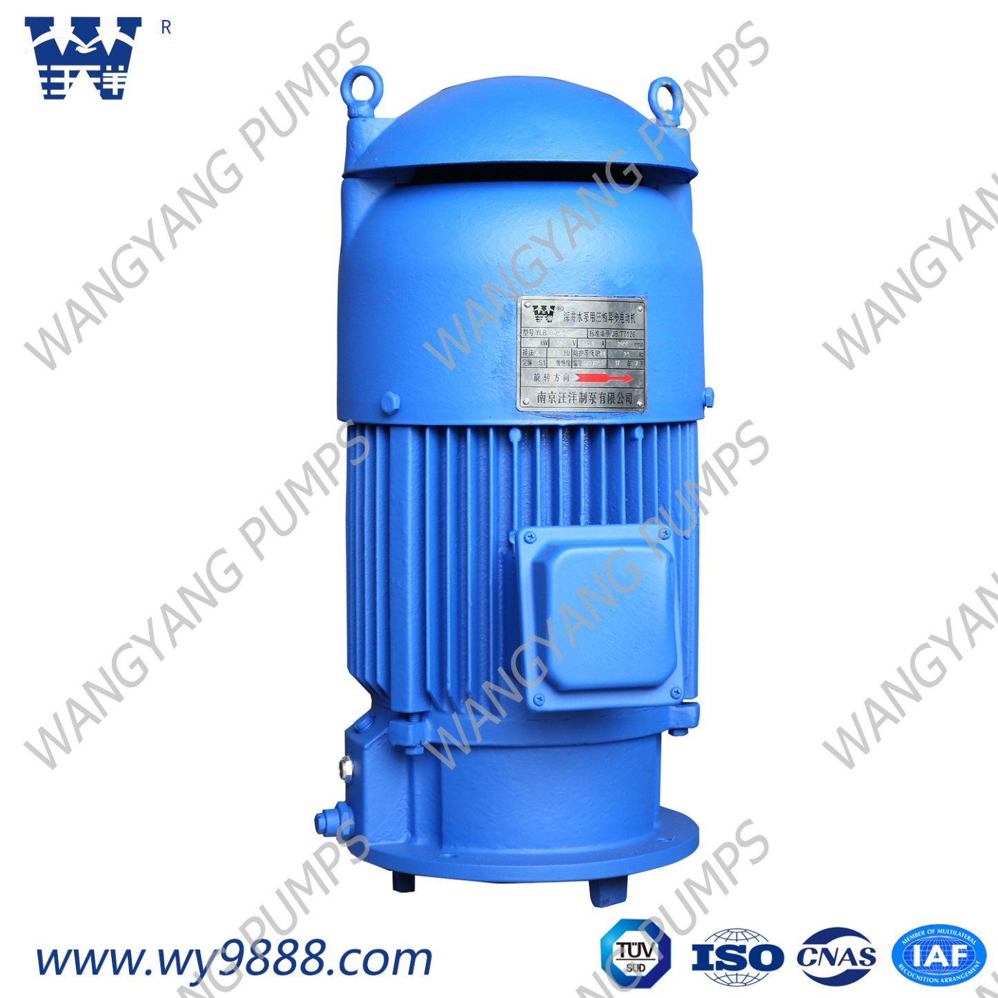 Vertical Hollow-Shaft Asynchronous Motor for Line-Shaft Deep Well Pump