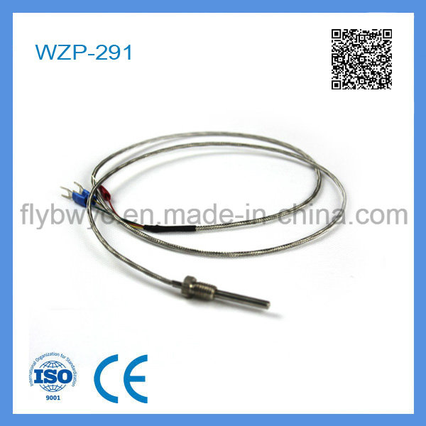 Wzp-291 PT100 Rtd with Fixed Screw