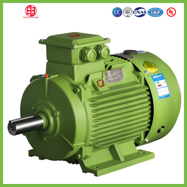 Low Voltage High Efficiency Asynchronous Motor