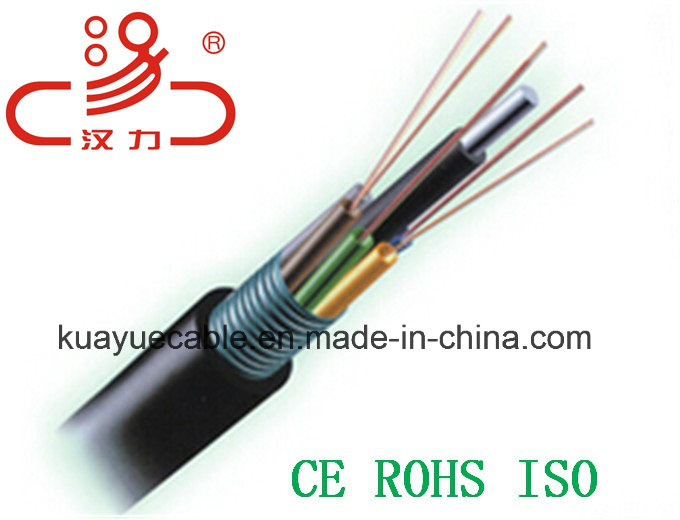 Gysta Optical Fiber Cable/Computer Cable/Data Cable/Communication Cable/Audio Cable/Connector