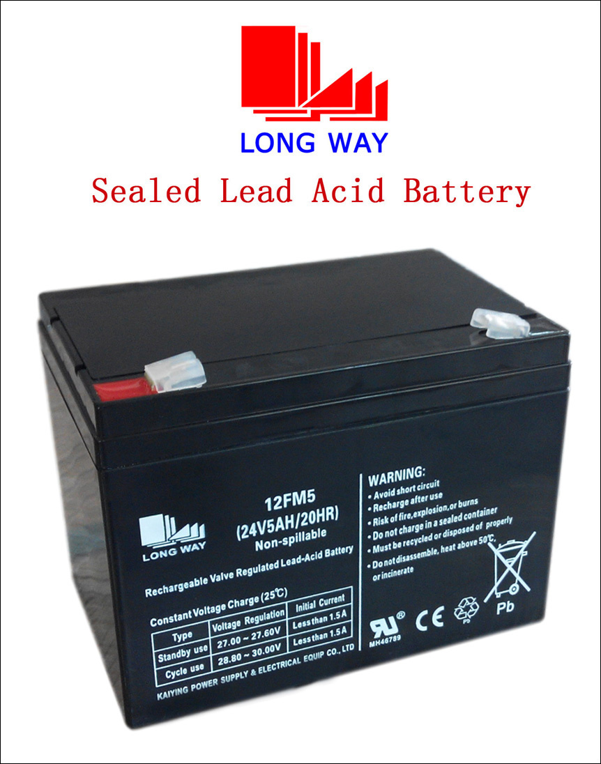 24V5ah Valved Lead Acid Battery SMF Battery