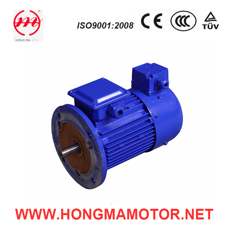 Electrical AC Integrated Frequency Inverter Motor (355M1-4-220KW)