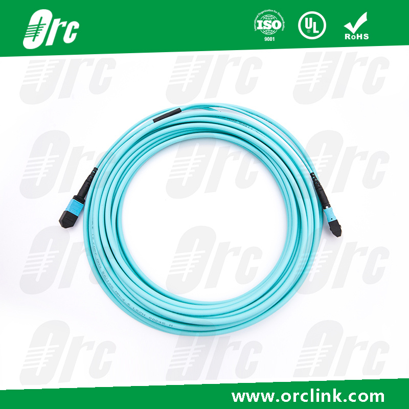 8f/12f/24f MPO/MTP Patchcord Jumper Optical Fiber Connector Om3 LSZH 5 Meters