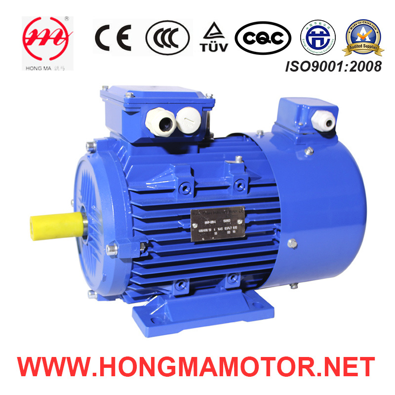 Asynchronous Frequency-Variable Motor with Cast Iron Housing (355L1-4-280KW)