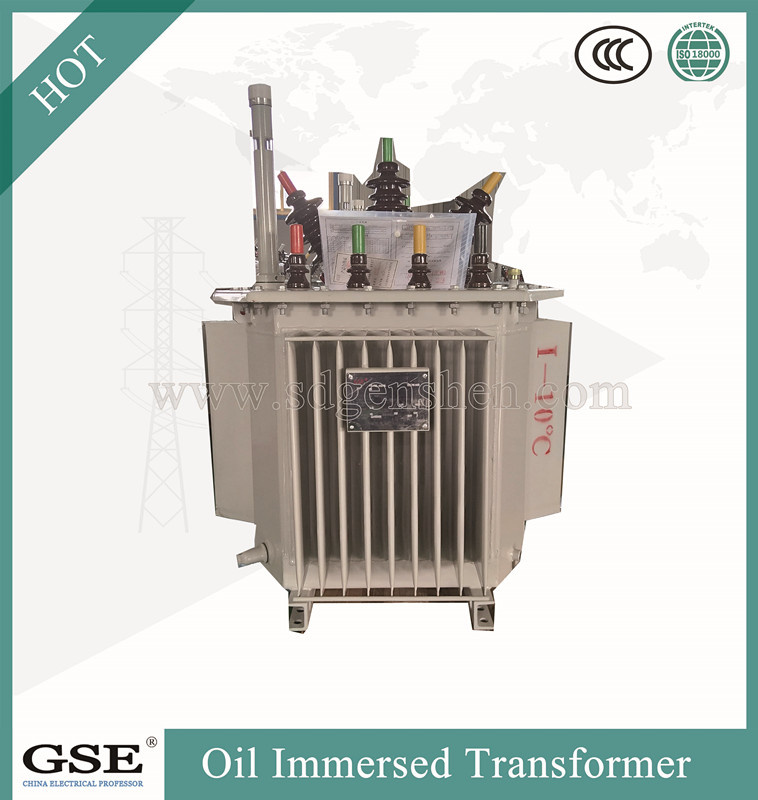 S13-Mr-L 30-2500 kVA Three-Phase Oil-Immersed Fully-Sealed Power/Distribution Transformer