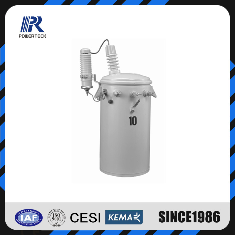 13.8kv 100kVA Pole Mounted Oil Type Completely Self Protection Transformer