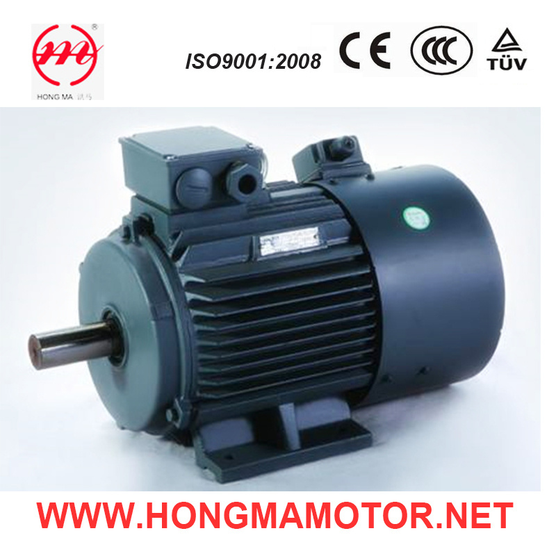 High Efficiency Frequency-Variable Asynchronous Motor (355L2-6-250KW)
