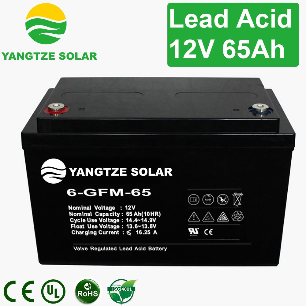 Yangtze Power 12V 65ah VRLA AGM Battery