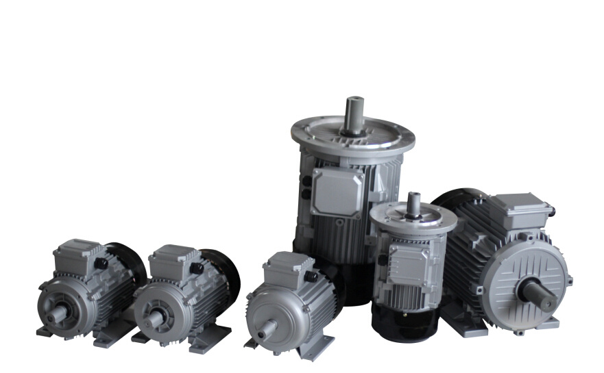 MS Series Aluminium Body Three Phase Motor