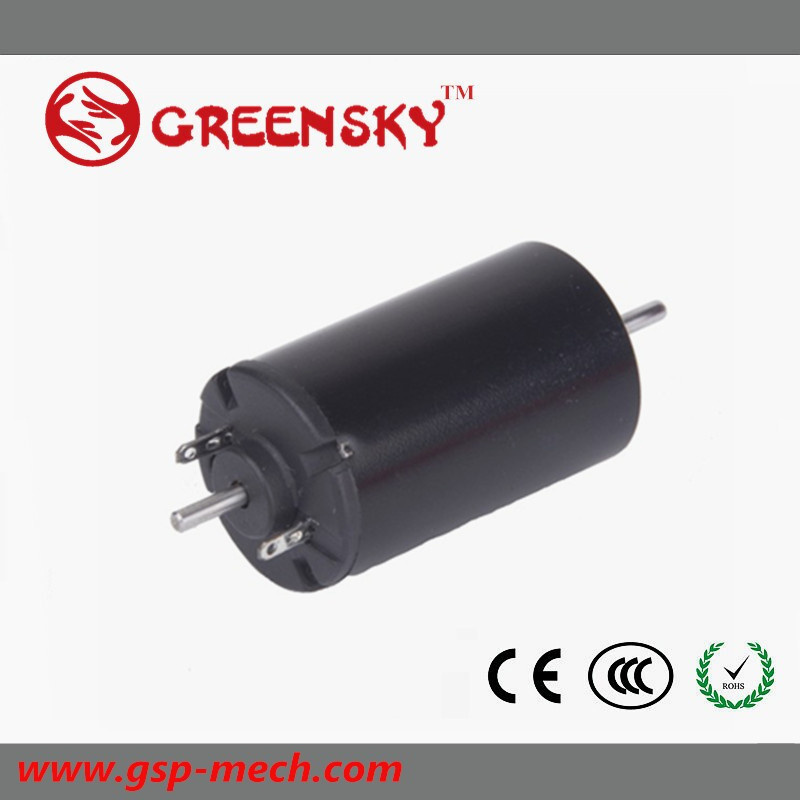 Low Price Coreless Electrical Brushed Motor with High Speed