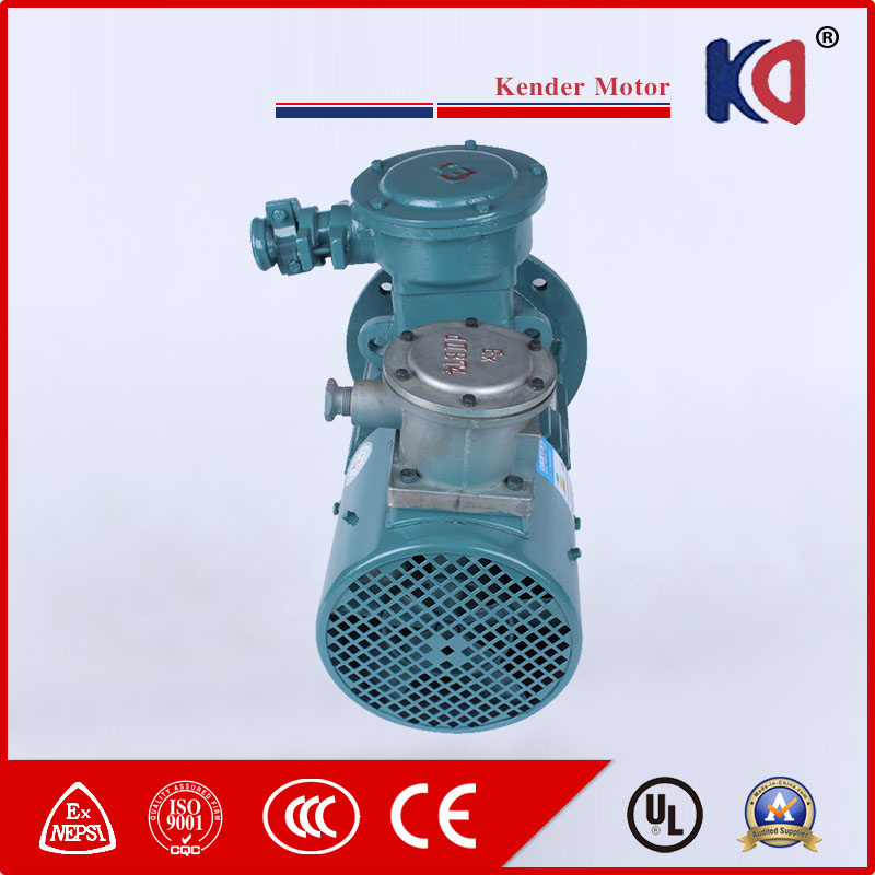 AC Frequency Conversion Timing Electric Motor with Wholesale Prices