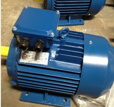 Ie2 Y2 Three Phase Induction Motor (Y2-112M-4)