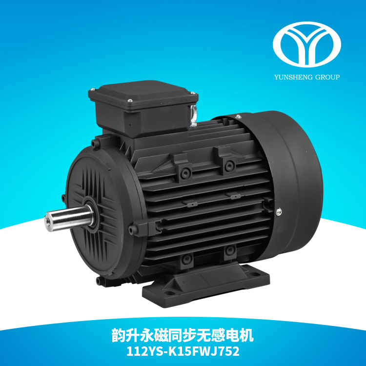 AC Permanent Magnet Synchronous Motor (5.5kw 3000rpm)