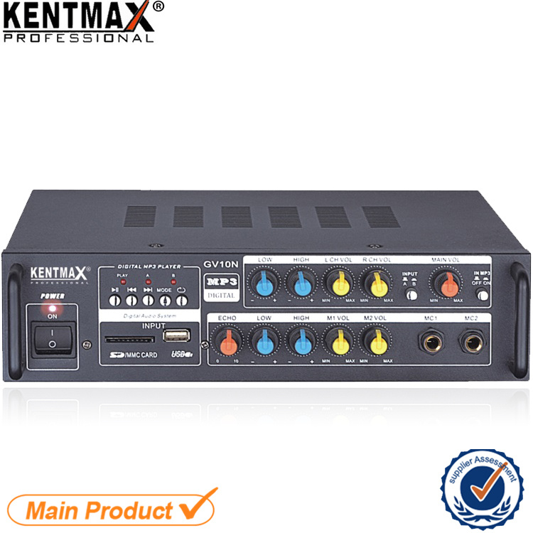 USB Mini Echo 30W Public Address System Amplifier