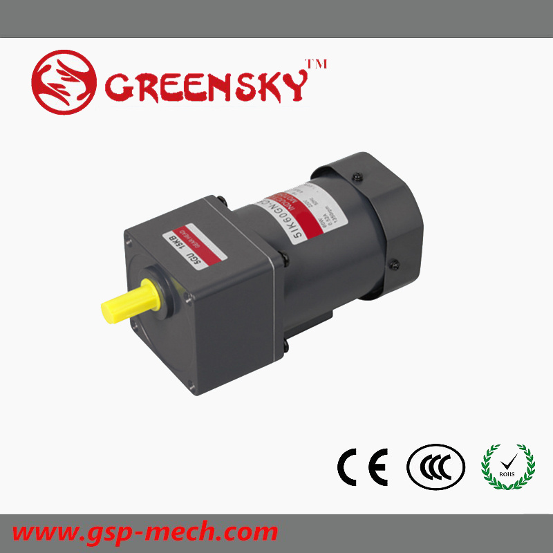 AC Induction Small Gear 60W Motor with Terminal Box