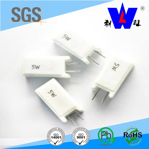 Rgg Cement Wire Wound Variable Resistor with ISO9001
