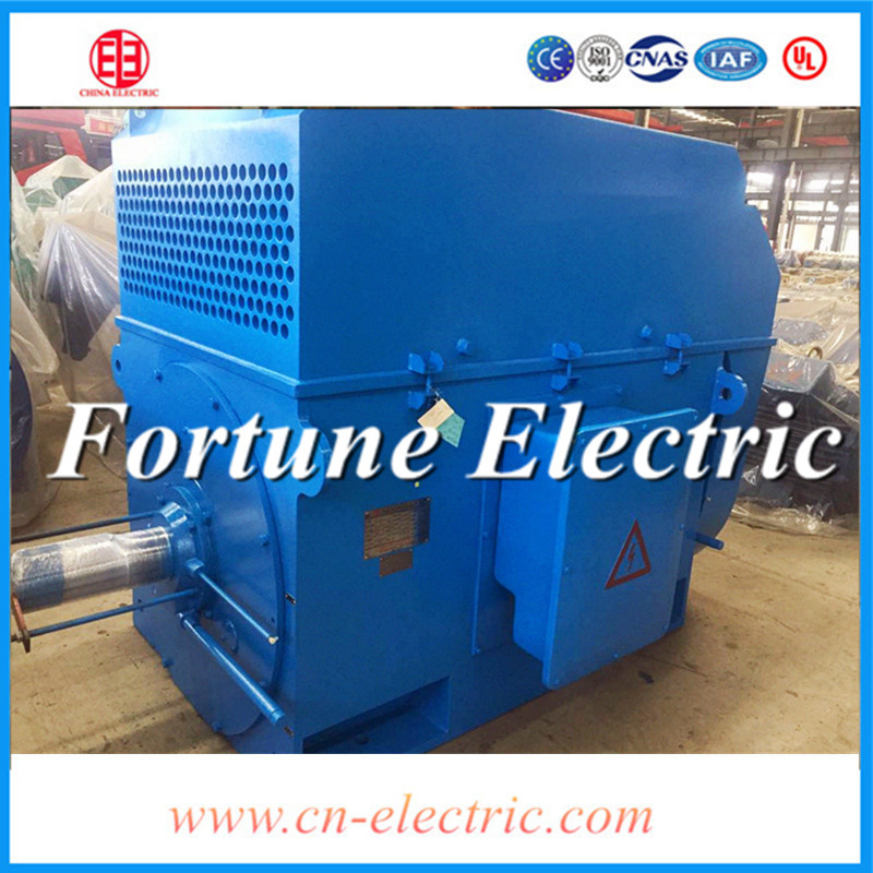 3.3kv Three Phase Electric Induction Motor