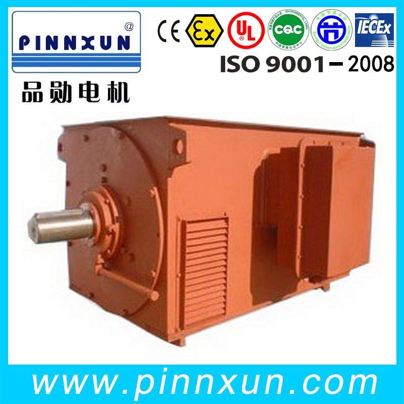 Y- 6kv Squirrel Cage Three-Phase Asynchronous Motor 2500kw