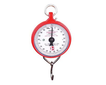 Spring scale