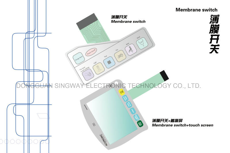 High Quality Key Film Switch with Multiple Color by Singway