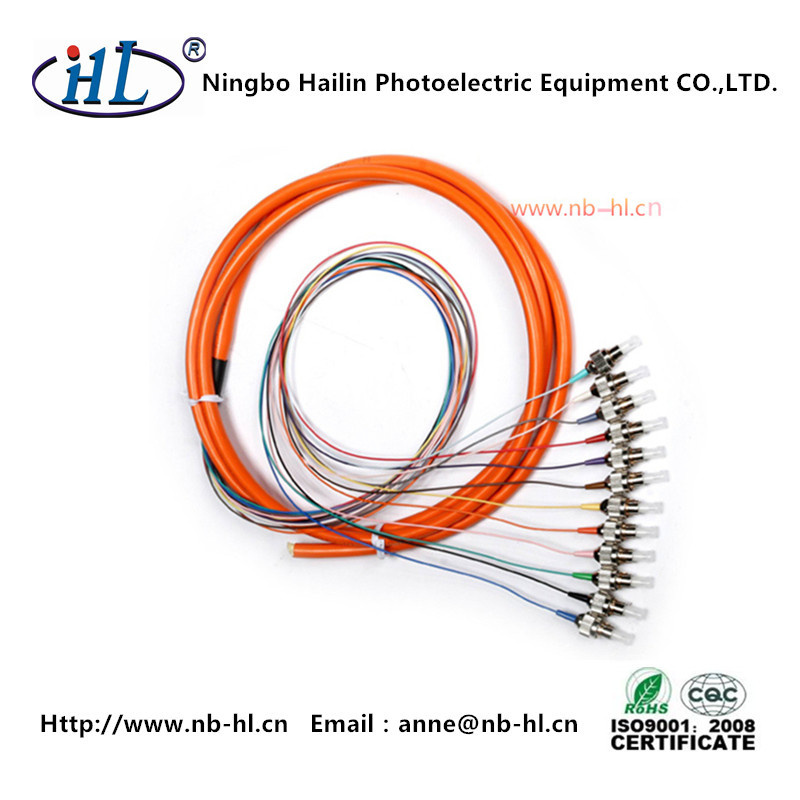 FC-FC Om2 Multimode Fiber Optic Pigtail with 12 Cores
