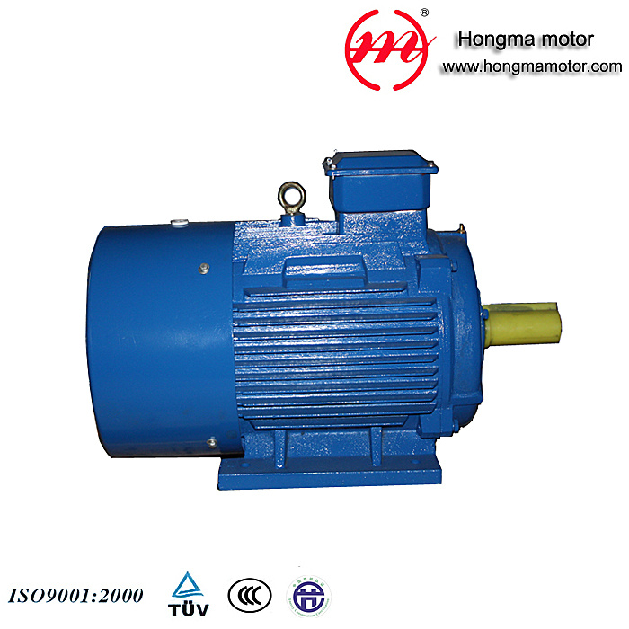 GOST Series Three-Phase Asynchronous Electric Motors