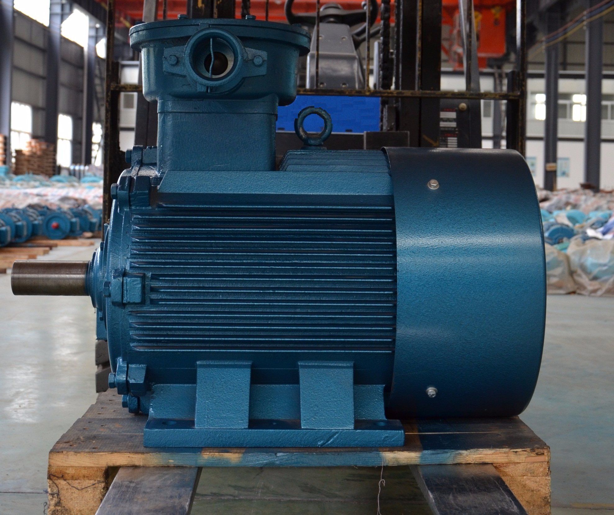 Explosion-Proof Permanent Motor for Mining Center Height132~315)