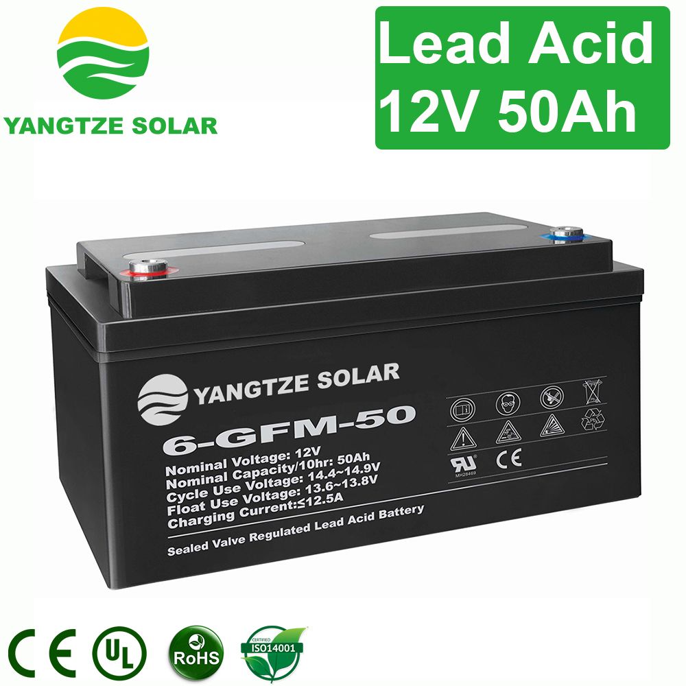 50ah 12V Deep Cycle Battery Charger