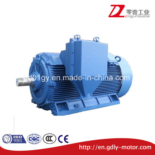 355~560 High Voltage 6kv/10kv, 2-8 Poles Three Phase Asynchronous Motors for Compressor