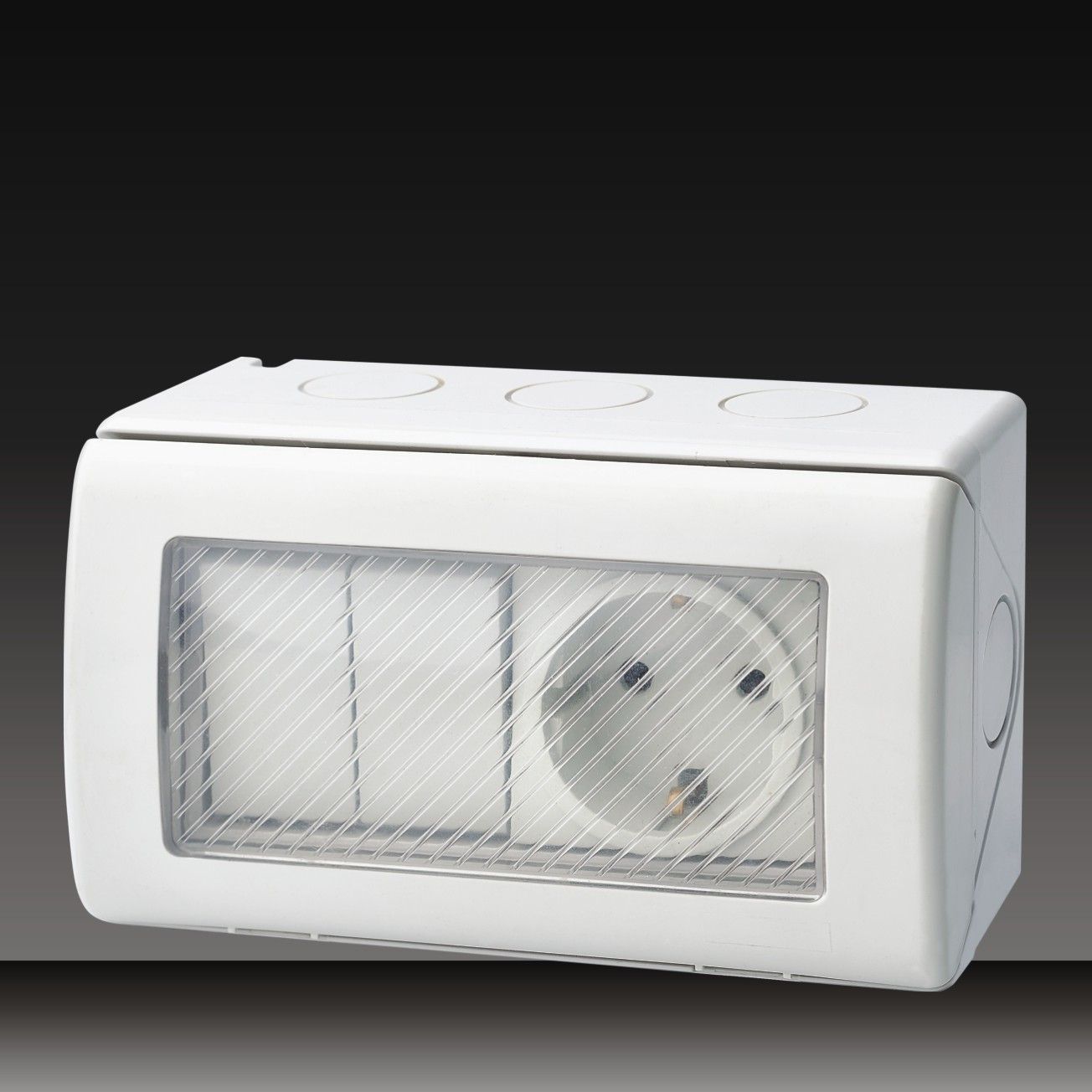 13A 250V Waterproof Switch Socket (LGL-2SS)
