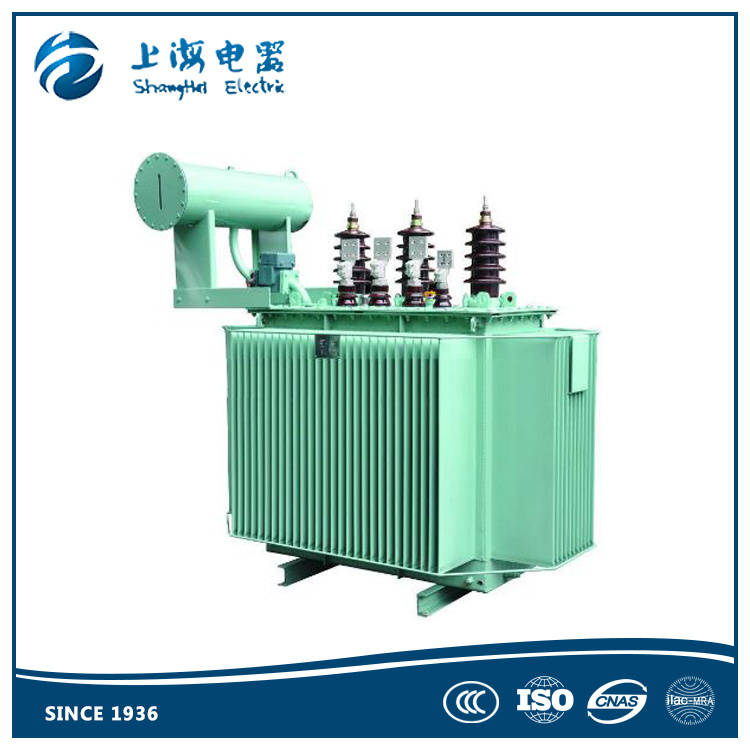 33kv 1250kVA Qil Immersed Distribution Transformer