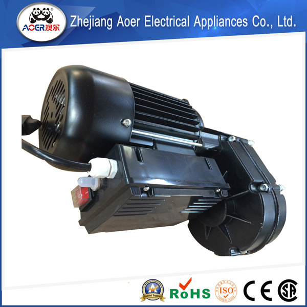 AC Single Phase 0.75HP Hoist General Motor