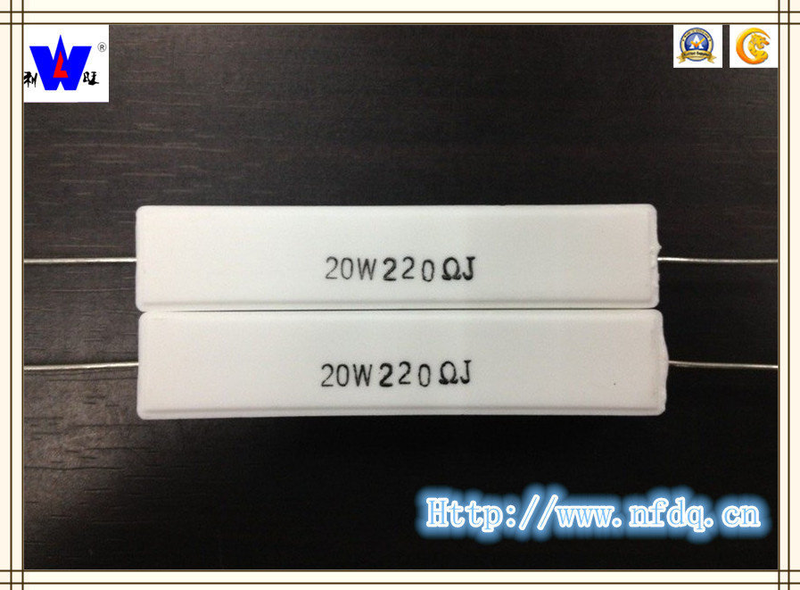 Rx27-1 Wirewound Resistor with RoHS