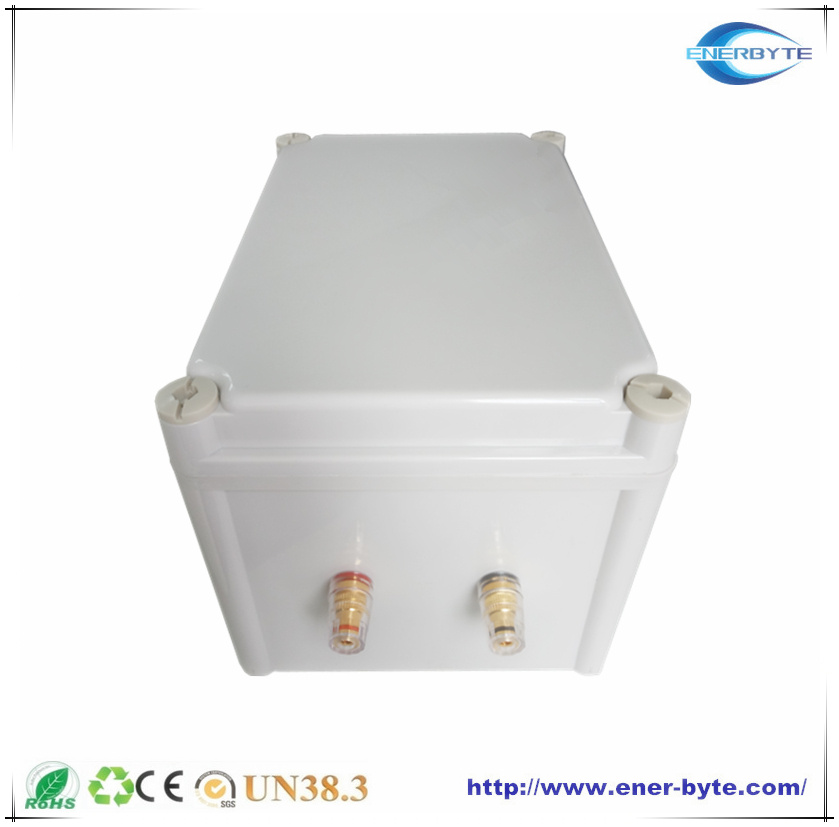 Energy Storage Lithium Battery Pack 12V 80ah with ABS Case