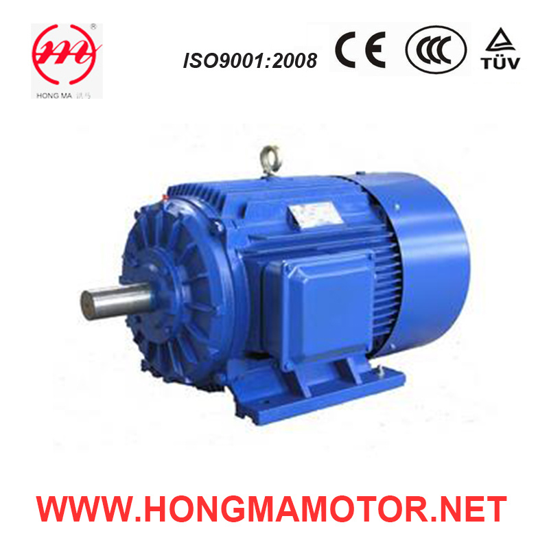NEMA Series High Efficiency Three Phase Induction Motor