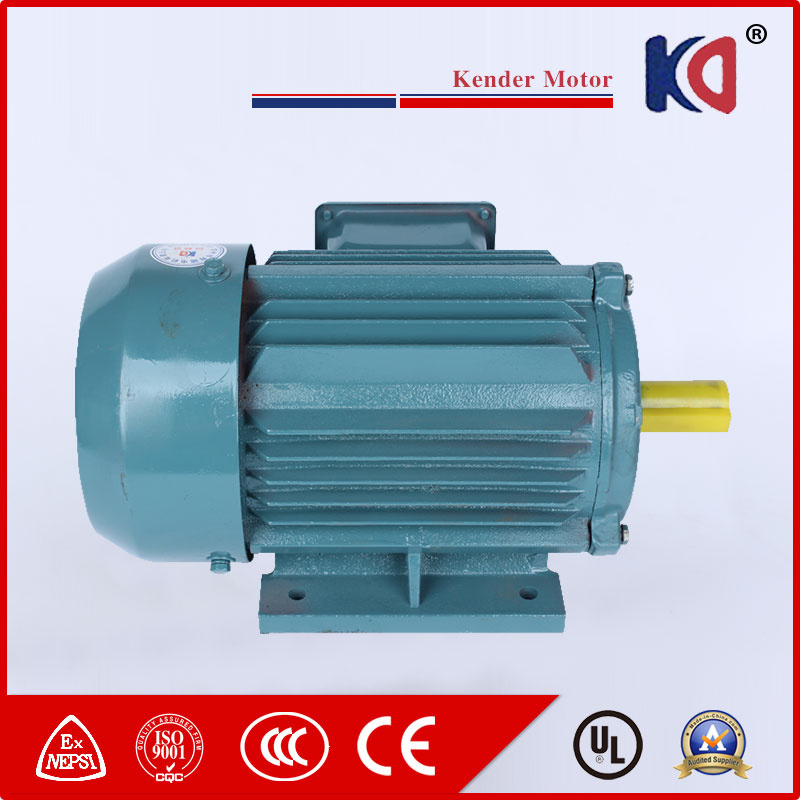 High Efficiency Three-Phase Induction Motor (Y2 Series)