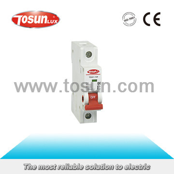 High Quality Isolating Switch with CE CB Certificate Main Switch